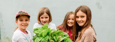 Acker Schweiz – Unsere Bildungsprogramme für mehr Wertschätzung für Natur und Lebensmittel